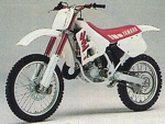 1990 YZ
